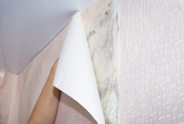 Tips Memasang Wallpaper Sendiri Dengan Mudah | Oemah Salma Dekorasi