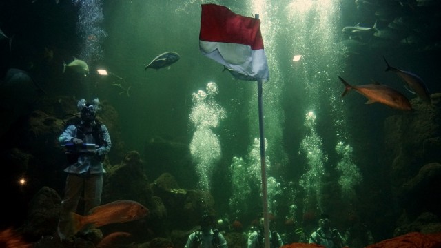 Bendera Merah Putih dikibarkan di dalam air untuk menyambut kemerdekaan Indonesia ke-74 di Sea World, Jakarta Utara (12/8). Foto: Iqbal Firdaus/kumparan
