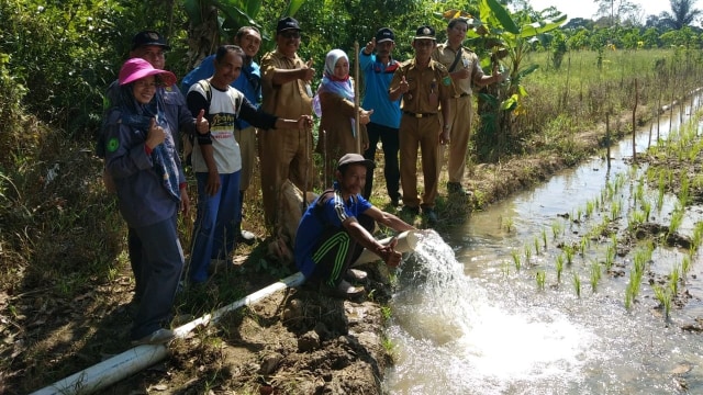 Tim Brigade Dinas Pertanian Kabupaten Tanah Bumbu mengairi sawah pakai pompa air di persawahan Kecamatan Kusan Hilir pada Selasa, 13 Agustus 2019. Foto: Distan Tanah Bumbu
