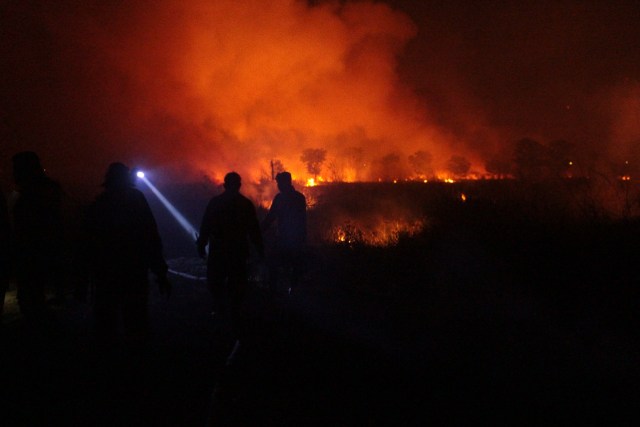 Kebakaran hutan dan lahan di Ogan Ilir, Sumsel, tepatnya di sekitar ruas Tol Palindra beberapa waktu lalu (Foto: istimewa)