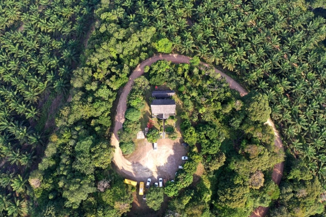 Foto udara menara pantau perkebunan sawit di Kalimantan Tengah.