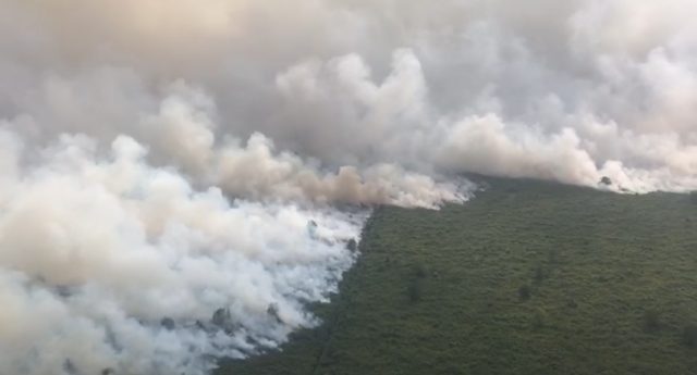 Kebakaran hutan dan lahan di Musi Banyuasin, Sumsel (Foto: BPBD Sumsel)