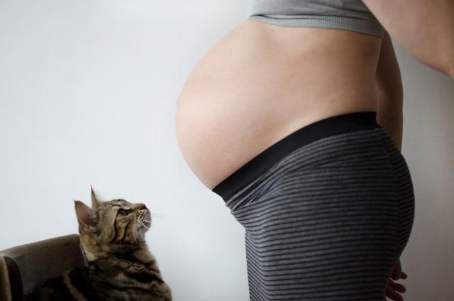 Berbagai Mitos Seputar Kehamilan yang Tidak Perlu Dipercaya (9)