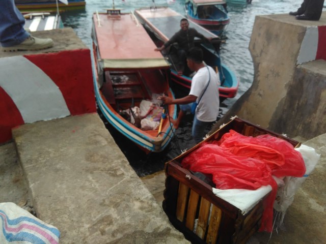 Foto: Ketika Nelayan Bahu-membahu Bersihkan Teluk Ambon (532450)