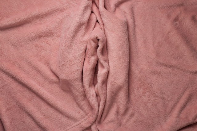 Ilustrasi vagina. Foto: Shutterstock