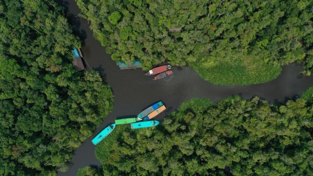 Foto udara perahu berlabuh di sungai Sekonyer Taman Nasional Tanjung Puting, Pangkalan Bun, Kalimantan Tengah. Foto: Fitra Andrianto/kumparan