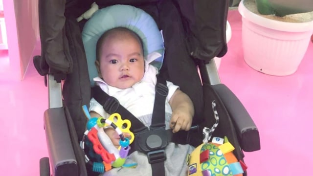 Bermain Bersama PlayGro ala Kamayel (42277)