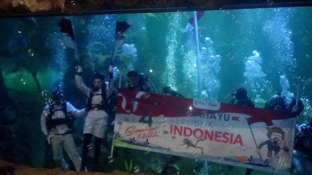 Aaliyah Massaid kibarkan bendera merah putih di SeaWorld, Jakarta, Sabtu (17/8). Foto: Aria Pradana/kumparan