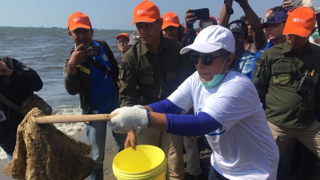 Menteri KKP Susi Pudjiastuti ikut acara bersih sampah di Pantai Timur Ancol. Foto: Moh Fajri/kumparan