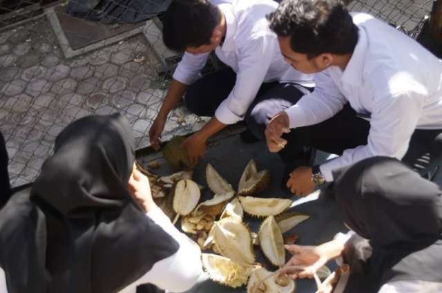 cpns kemenag aceh pesta makan durian.png