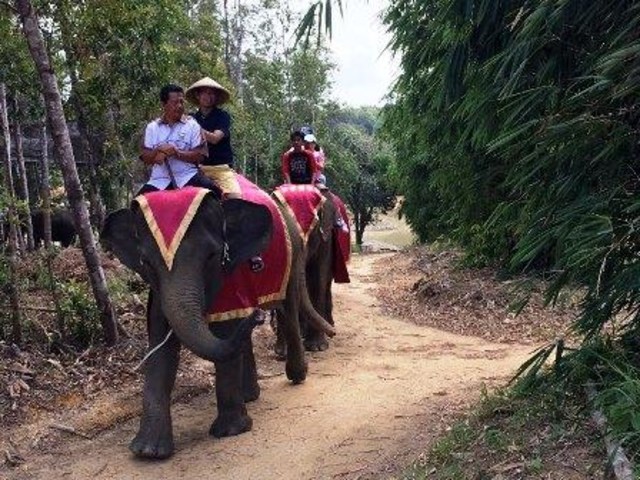 Dua ekor gajah mengantarkan pengunjung mengelilingi kawasan wisata Lagoi, Bintan.