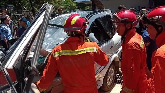 Pohon tumbang timpa mobil di Universitas Pancasila