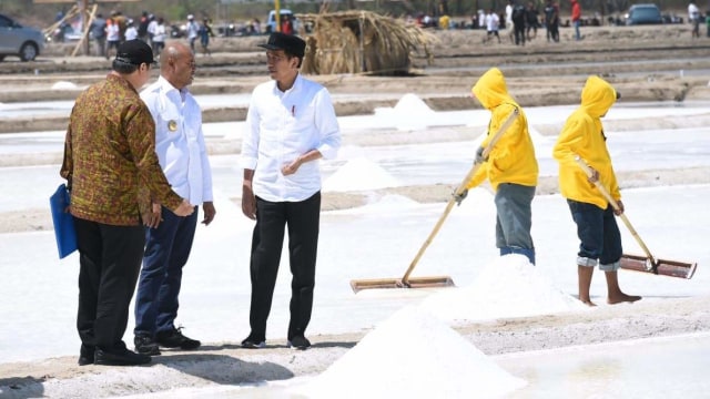 Presiden Joko Widodo (ketiga kiri) meninjau tambak garam di Desa Nunkurus, Kecamatan Kupang Timur, Provinsi Nusa Tenggara Timur. Foto: Dok. BPMI Setpres/Muchlis Jr