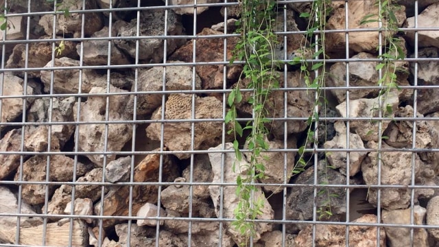 Melihat Instalasi Batu Gabion Pengganti Getih Getah di Bundaran HI (12937)