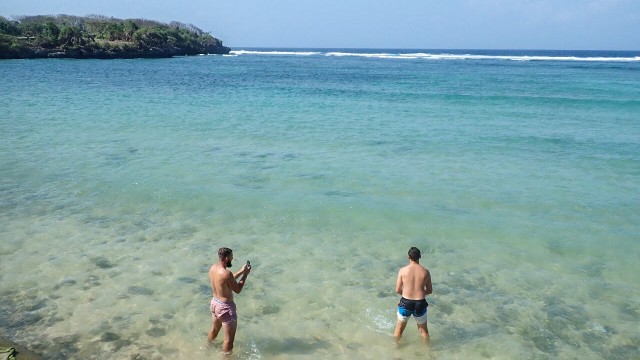 Hiu Di Pantai Nusa Dua Jenis Blacktip Jadi Tontonan Turis