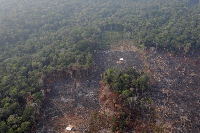 Potret udara dari bekas kebakaran hutan Amazon di dekat Humaita, Negara Bagian Amazonas, Brasil. Foto: REUTERS/Ueslei Marcelino