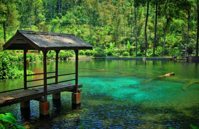 Biru Tosca Telaga Rambut Monte Bikin Adem Kumparan Com