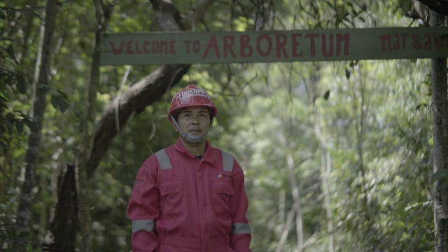 com-Pertamina, Arboretum gambut pertama di Sumatera Foto: Dok. Pertamina