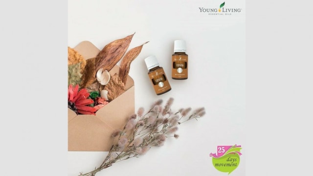 Sejuta Manfaat Copaiba Young Living Kumparan Com