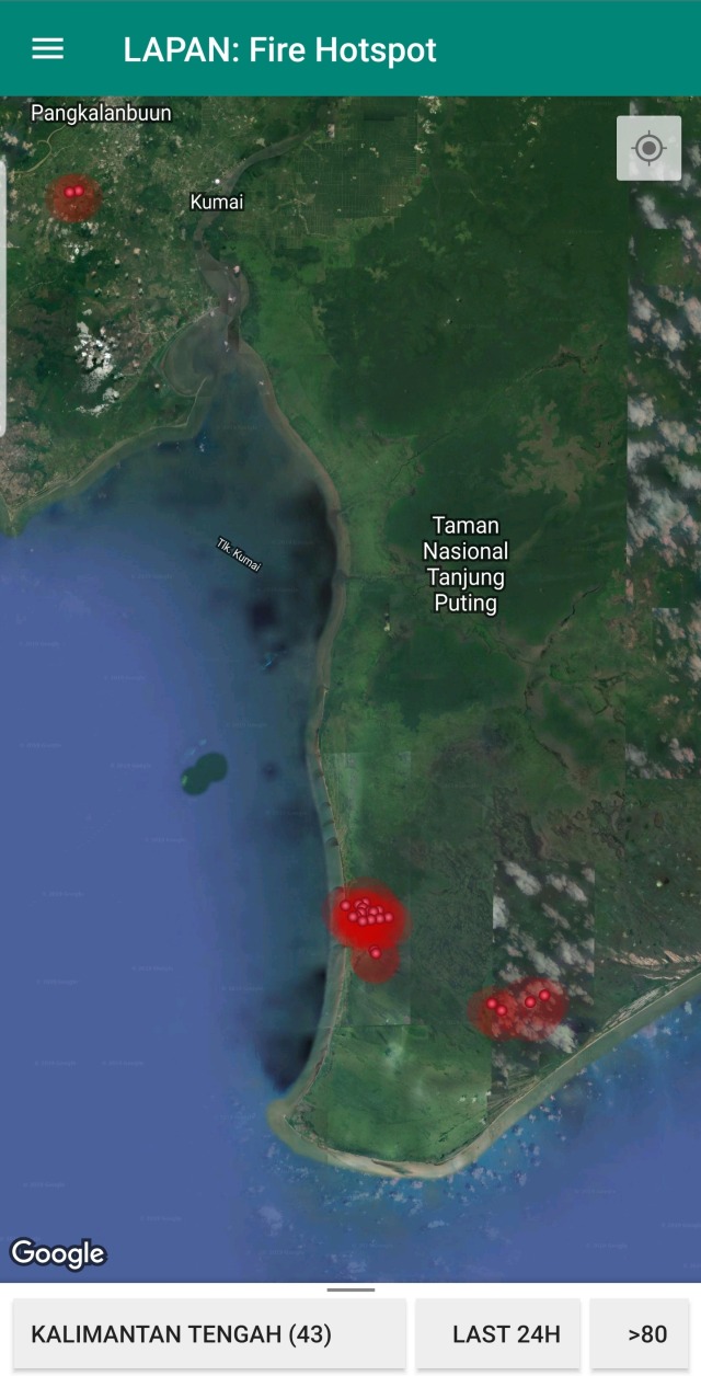 Taman Nasional Tanjung Puting Kalimantan Tengah Terbakar