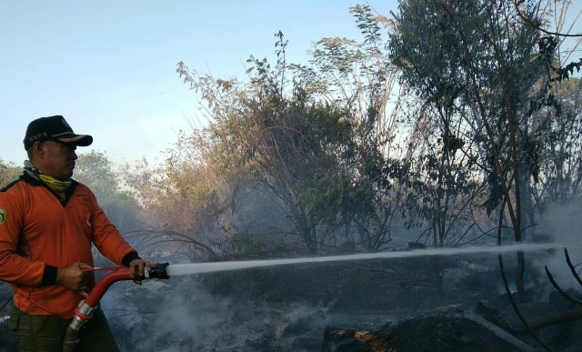 Petugas BPBD Sumsel saat menyemprotkan air untuk memadamkan api di Musi banyuasin (Foto: istimewa)