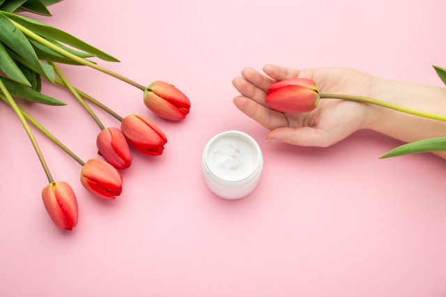 Manfaat bunga tulip untuk kecantikan kulit. Foto: Shutterstock