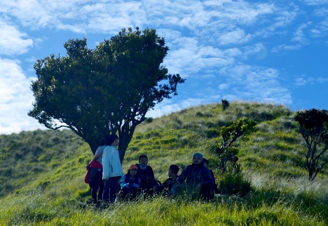 Selain indah, keberadaan cantigi sering dimanfaatkan para pendaki untuk berteduh dari sengatan sinar matahari. (Foto: Jamal Mahfudz) 