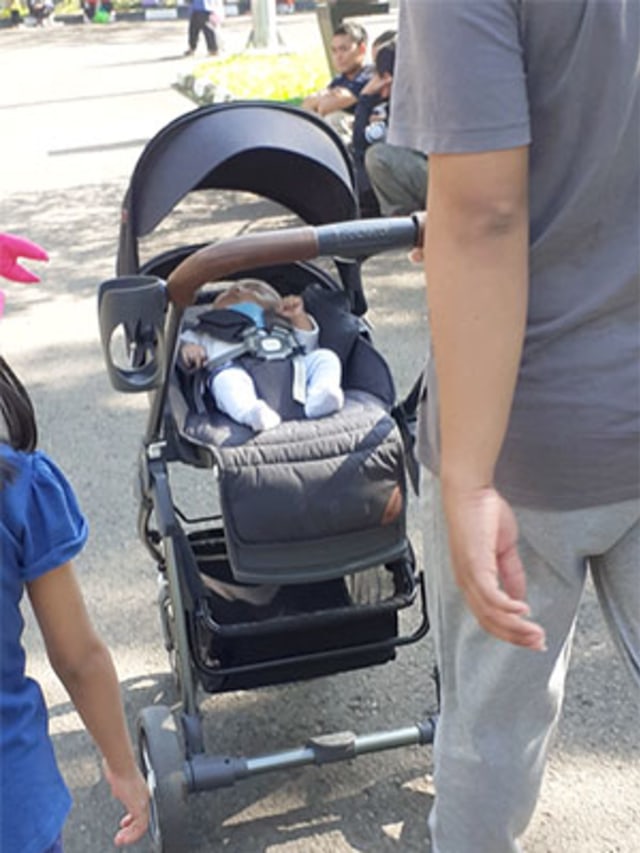 fedora l5 stroller review
