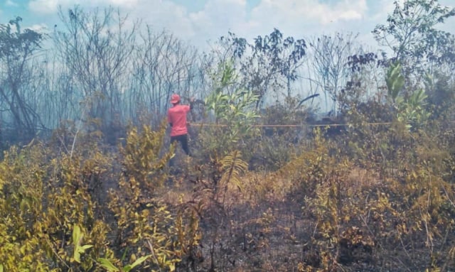 Kebakaran lahan di Kota Banjarbaru. Foto: istimewa
