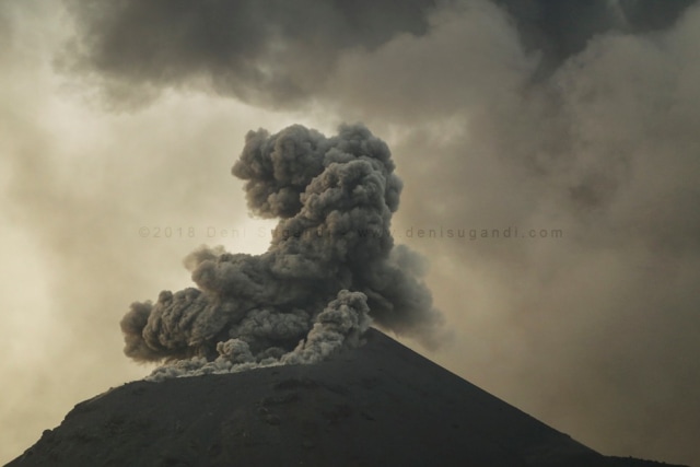 Tambora & Krakatau: Gunung Api Pengguncang Dunia, 200 Tahun Terakhir (204549)