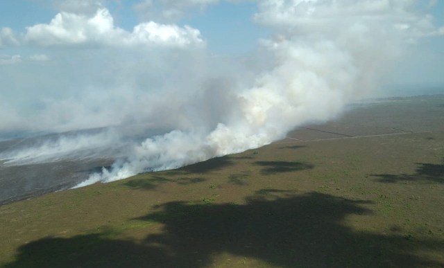 Kebakaran di Taman Nasional Tanjung Puting. (Foto: BNPB)