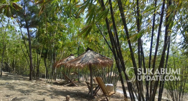 Objek wisata taman bambu atau Bamboo Widen Park, Di Desa Caringinnunggal, Kecamatan Waluran, Kabupaten Sukabumi. | Sumber Foto:Ragil Gilang