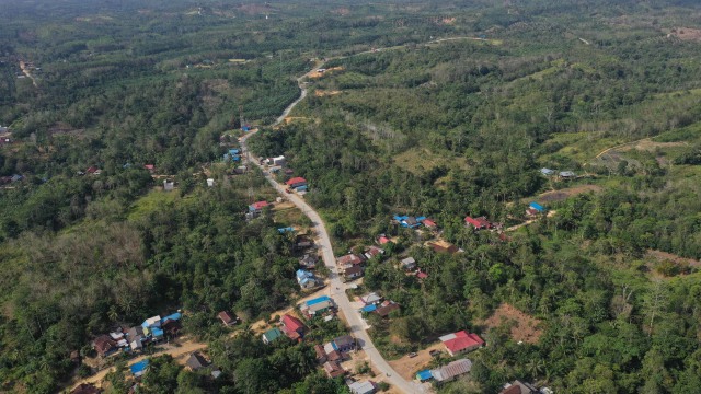 Babat Alas demi Ibu Kota Baru (733910)