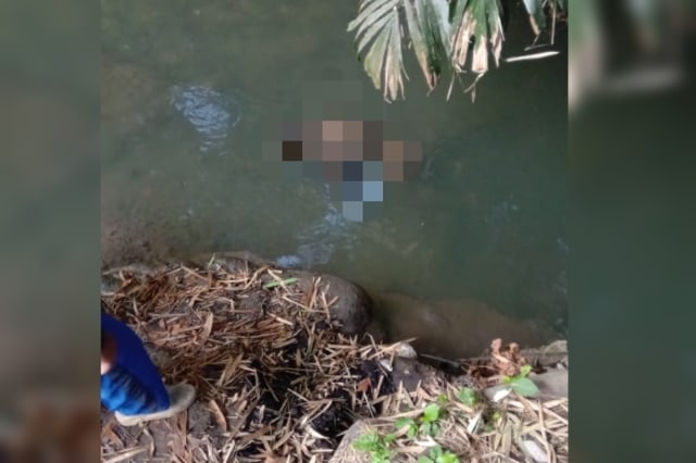 Sesosok mayat yang ditemukan mengambang di Sungai Bunthit Nglaeang, Sleman, Sabtu (31/8/2019). Foto: Istimewa.