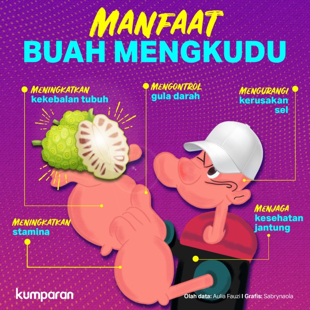 Manfaat buah mengkudu. Foto: Sabryna Putri Muviola/ kumparan.