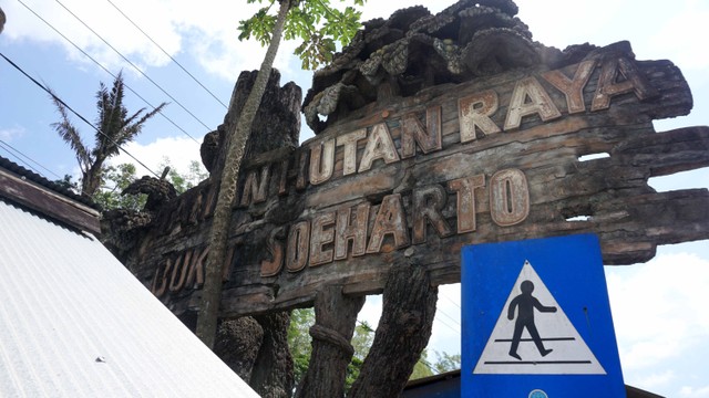 Taman Hutan Raya Bukit Soeharto, Kalimantan Timur. Foto: Prabarini Kartika/kumparan