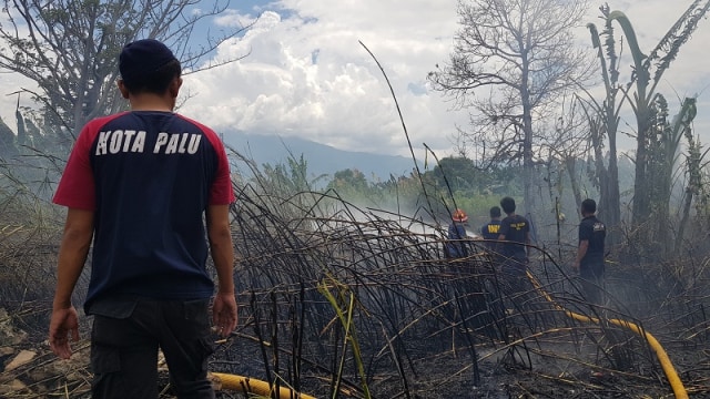 Seorang petugas pemadam kebakaran Kota Palu saat memantau petugas kebakaran lainnya yang sedang padamkan api di lahan kosong milik PT Indonesia Timur di lorong Karoya, Jalan Manimbaya, Kota Palu, Minggu (1/9). Foto: PaluPoso