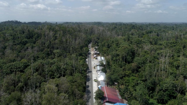Di Lahan Ibu Kota Baru Banyak Konsesi Tambang Daerah (83528)