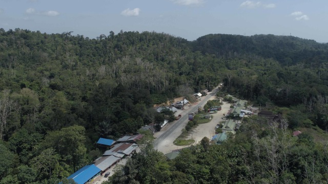 Potret udara kawasan Taman Hutan Raya Bukit Soeharto, Kalimantan Timur. Foto: Faiz Zulfikar/kumparan