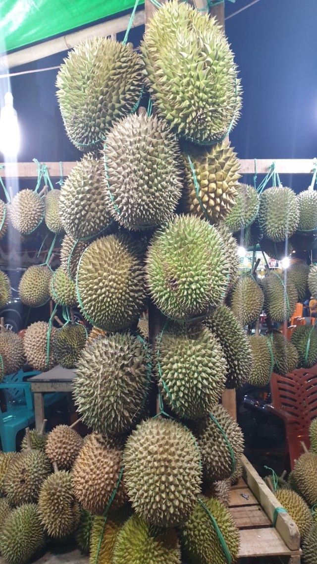 Download 7200 Koleksi Gambar Durian Pontianak Terbaru Gratis HD