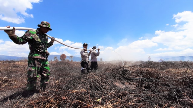 Melihat Potret Kebakaran Lahan Gambut di Koltim, Sulawesi Tenggara