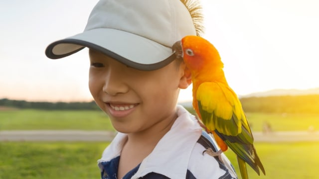 anak dan burung peliharaan Foto: Shutterstock
