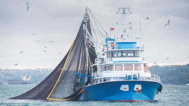 Ilustrasi Kapal Penangkap Ikan. Foto: Getty Images