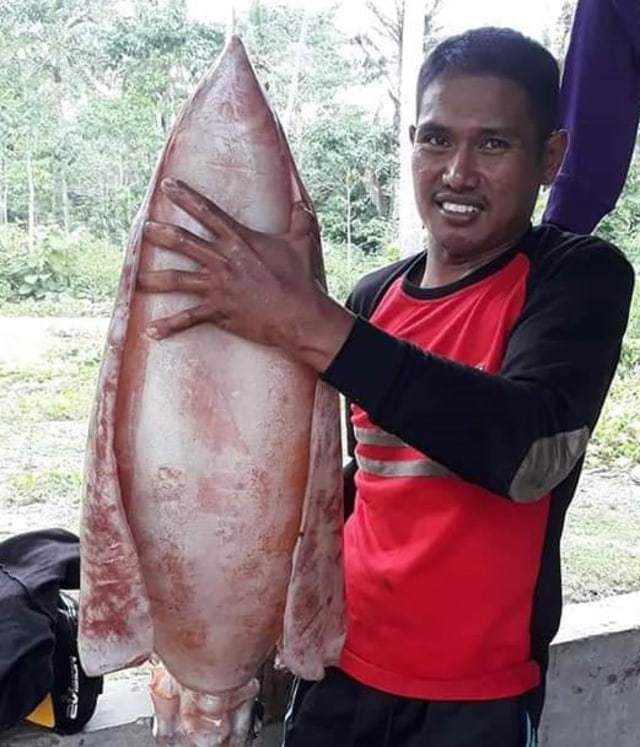 Nelayan di Dusun Tapangkang, Kabupaten Mamuju, Sulawesi Barat menangkap cumi-cumi seberat 14 kilogram. Foto: Dok. Istimewa