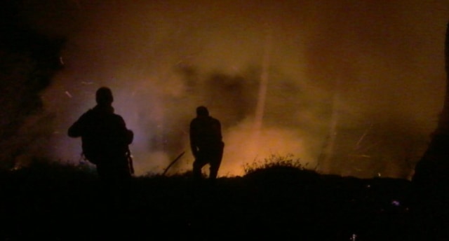 Areal hutan di Dukuh Kaliwadas, Desa Dawuhan, Kecamatan Sirampog, terbakar pada Kamis malam (5/9/19). (Foto: Istimewa)