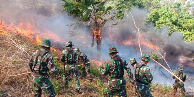 Personel TNI memadamkan api yang membakar lahan dan hutan di Desa Garapia, Kecamatan Monano, Kabupaten Gorontalo Utara, Jumat (6/9). Foto: Dokumen Banthayo.id
