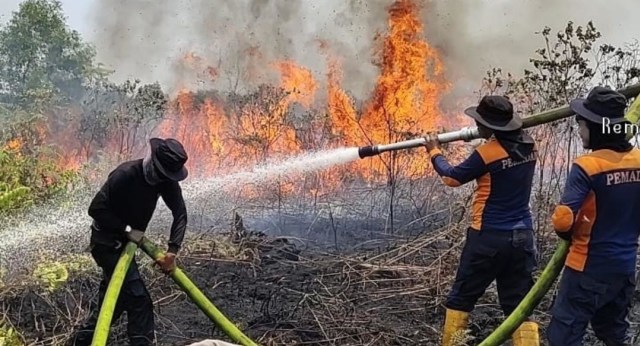Damkar bersama Satpol PP Kabupaten Ketapang memadamkan api di wilayah selatan Ketapang. Foto: Dok Damkar Ketapang