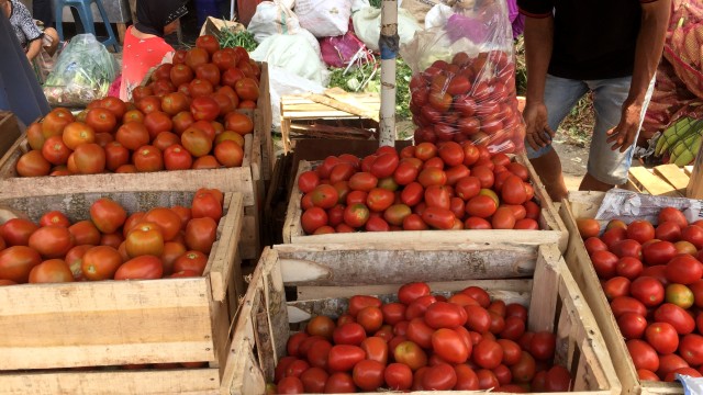 Tomat di Pasar Induk Kramat Jati, Jakarta. Foto: Abdul Latif/kumparan