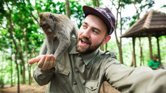 Ilustrasi selfie bersama monyet di Monkey Forest Ubud, Bali Foto: Shutterstock