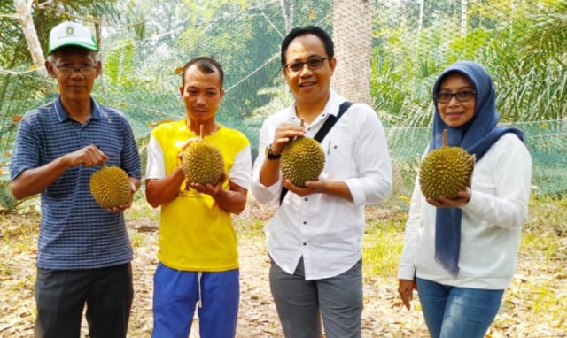 Download 93+ Gambar Durian Kunyit  Gratis HD